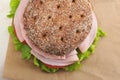 Round sandwich of rye bread with ham, tomato and lettuce Royalty Free Stock Photo