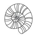 Round seashell, limestone mollusk shell, black and white hand drawn doodle vector Royalty Free Stock Photo