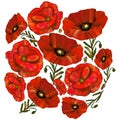 Round set with Red poppy flowers isolated on white background Royalty Free Stock Photo