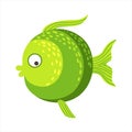 Round With Shades Of Green Fantastic Colorful Aquarium Fish, Tropical Reef Aquatic Animal