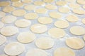 Round shape of the dough Royalty Free Stock Photo