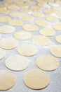 Round shape of the dough Royalty Free Stock Photo