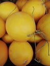 Round shape of sweet yellow melons