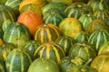 Round shaped corking melon. by side angle. Royalty Free Stock Photo