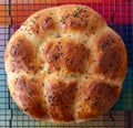 Round share and tear traditional home cooked Jewish Challah bread loaf, presented on a wire tray, topped with nigella seeds. Royalty Free Stock Photo