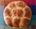 Round share and tear traditional home cooked Jewish Challah bread loaf, presented on a wire tray, topped with nigella seeds. Royalty Free Stock Photo