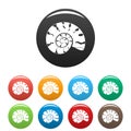 Round shell icons set color vector