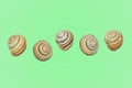 Round shells on a uniform background. Snails for design