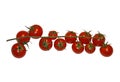 Round, small red tomatoes on a white background. Royalty Free Stock Photo