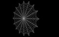 Round spider web
