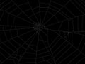 Round spider web element illustration for design. Royalty Free Stock Photo