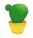 Round spiny cactus in a yellow pot