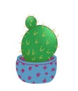 Prickly cactus in a blue pot