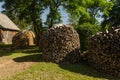 Round stacks of split firewood in sunny summer day Royalty Free Stock Photo