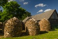 Round stacks of split firewood in sunny summer day Royalty Free Stock Photo