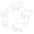 Round Stages of cow growth set. Milk farm. Breeding cow. Beefs production. Cattle raising. Calf grow up animation circle