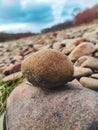 Round stone close-up. Nature. Against the background of a pile of river pebbles