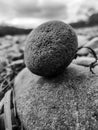 Round stone close-up. Nature. Against the background of a pile of river pebbles