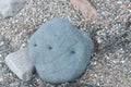 A round stone with three holes, on the sea shore in Gotland Sweden Royalty Free Stock Photo