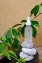 Round stones arranged in Zen tower pyramid, green plants, wooden elements and stylish bottle with cosmetic product containing Royalty Free Stock Photo