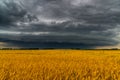 Round storm cloud over a wheat field. Russia Royalty Free Stock Photo