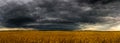 Round storm cloud over a wheat fieldin Russia. Panorama Royalty Free Stock Photo