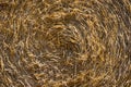Round Straw Bale Close Up as Background