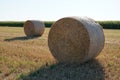 Round straw bale in country wheat field in farm land at summer recently harvested Royalty Free Stock Photo