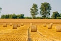 Round straw bales in harvested fields