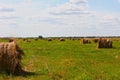 Round straw bales in harvested fields.