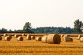 Round straw bales in harvested fields