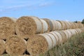 round straw bales lie on the field after the grain harvest Royalty Free Stock Photo