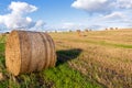 Round straw bales on a mown field under a blue sky with white cl Royalty Free Stock Photo