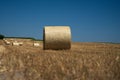 Round Straw bales in a stubble Swiss field under blue sky in bright sunlight Royalty Free Stock Photo