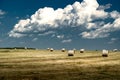 Round straw rolls on a harvested fields under a deep blue sky in Rocky View County Alberta Canada Royalty Free Stock Photo