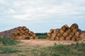 Round straw stacks. Haystacks lie in a high pile. Food for cattle, for horses