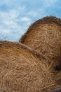 Round straw stacks. Haystacks lie in a high pile. Food for cattle, for horses