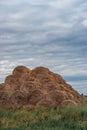 Round straw stacks. Haystacks lie in a high pile. Food for cattle, for horses