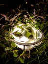 A round street lamp surrounded by leaves