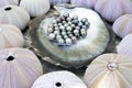 Tahitian Black Pearls Royalty Free Stock Photo