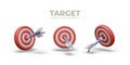 Round target, arrow hits bull eye. Defining target audience Royalty Free Stock Photo