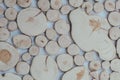 Round teak wood stump background