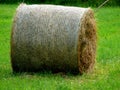 A round teff bale