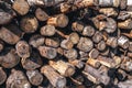 Round timber - stack of round pine logs