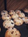 round toast with choco chips inside and a sprinkling of powdered sugar on the outside