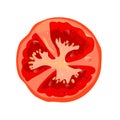 Round tomato slice isolated. Vegetables ingredient for dishes. Vector illustration