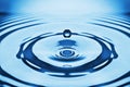 The round transparent drop of water, falls downwards... Royalty Free Stock Photo