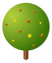 Round tree. Isometric garden plant with fruits or flowers