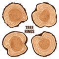 Round tree trunk cuts, sawn pine or oak slices, lumber. Saw cut timber, wood. Brown wooden texture with tree rings. Hand Royalty Free Stock Photo