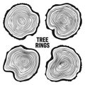 Round tree trunk cuts, sawn pine or oak slices, lumber. Saw cut timber, wood. Wooden texture with tree rings. Hand drawn Royalty Free Stock Photo